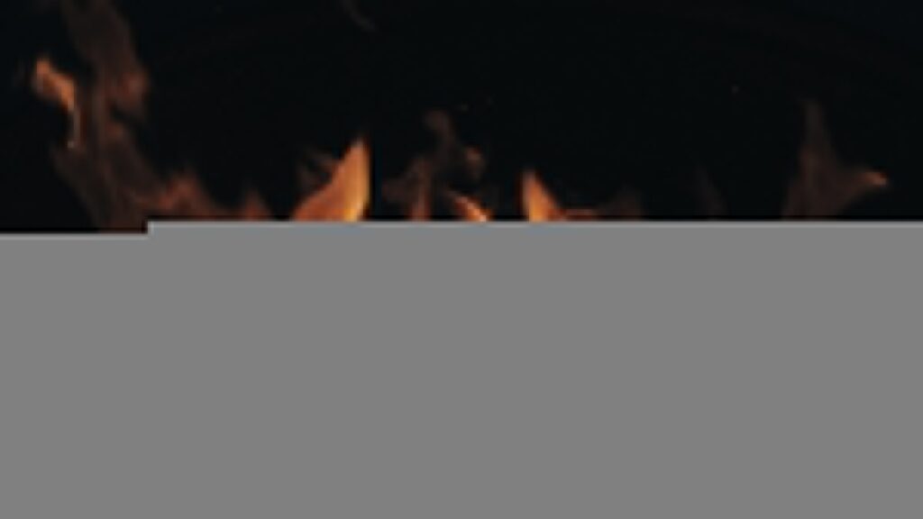fire in the dark during night time