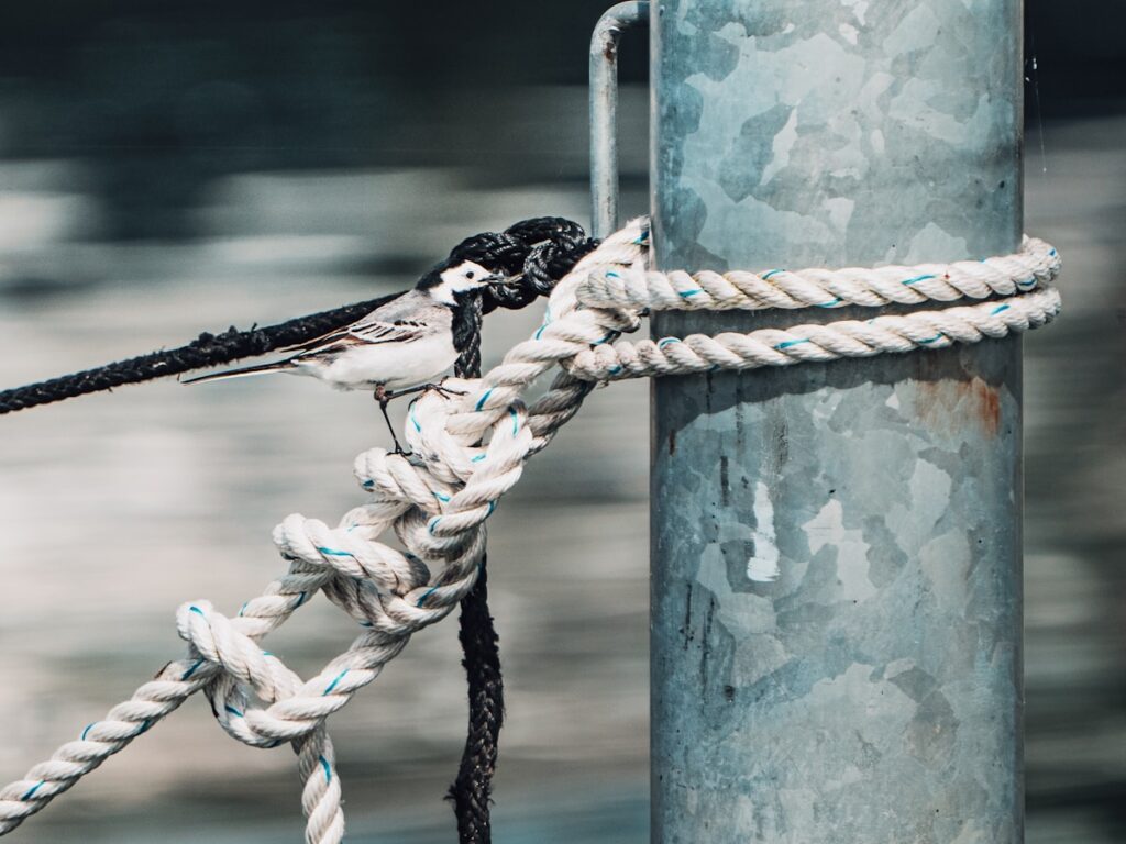 A close up of a rope attached to a pole